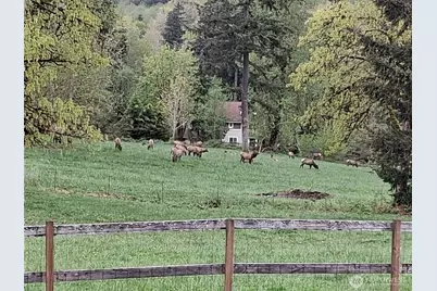 25906 272nd Avenue SE, Ravensdale, WA 98051 - Photo 33