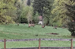25906 272nd Ave SE, Ravensdale, WA 98051 - Photo 33