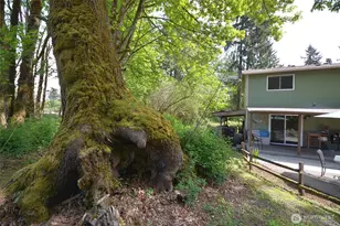 6115 Waldon Dr SE, Olympia, WA 98513 - Photo 11