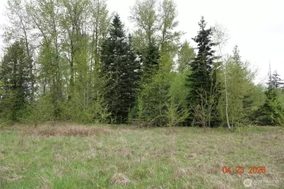 11703 34th Avenue E, Tacoma, WA 98446 - Photo 15
