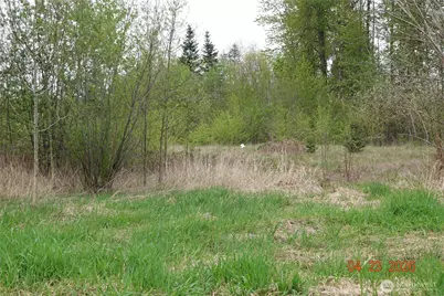 11703 34th Avenue E, Tacoma, WA 98446 - Photo 5