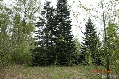 11703 34th Avenue E, Tacoma, WA 98446 - Photo 17