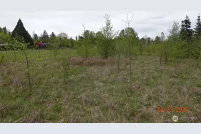 11703 34th Avenue E, Tacoma, WA 98446 - Photo 11
