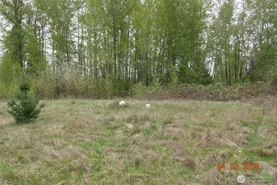 11703 34th Avenue E, Tacoma, WA 98446 - Photo 9