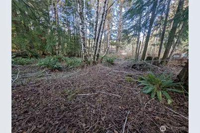 300 Sekiu River Road, Sekiu, WA 98381 - Photo 11