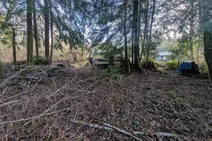 300 Sekiu River Rd, Sekiu, WA 98381 - Photo 15