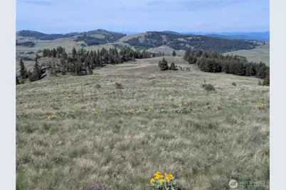 84 1/2 Pratt Road, Oroville, WA 98831 - Photo 21