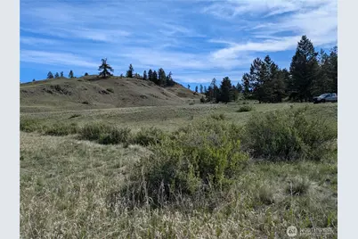 84 1/2 Pratt Road, Oroville, WA 98831 - Photo 15