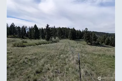 84 1/2 Pratt Road, Oroville, WA 98831 - Photo 11