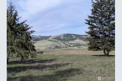 84 1/2 Pratt Road, Oroville, WA 98831 - Photo 3