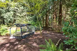 25300 SE Mirrormont Way, Issaquah, WA 98027 - Photo 37