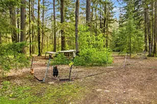 17710 Mima Acres Dr SE, Tenino, WA 98589 - Photo 31