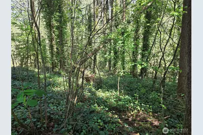 0 NE 45th Avenue, Vancouver, WA 98686 - Photo 9