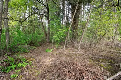 0 NE 45th Avenue, Vancouver, WA 98686 - Photo 27