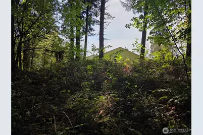 0 NE 45th Avenue, Vancouver, WA 98686 - Photo 19