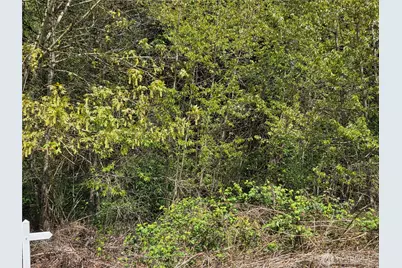 0 NE 45th Avenue, Vancouver, WA 98686 - Photo 7