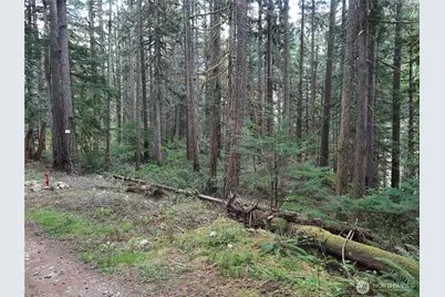 0 Cascade River Road, Concrete, WA 98267 - Photo 1