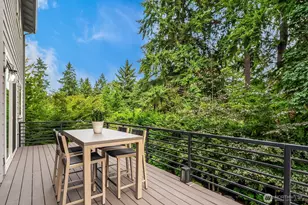 1646 106th Ave SE, Bellevue, WA 98004 - Photo 33