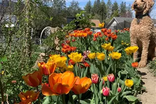 124 Crestview Dr, Colville, WA 99114 - Photo 29