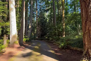 4079 Forest Ln, Anacortes, WA 98221 - Photo 35