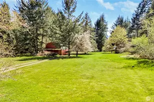 365 Donald St, Quilcene, WA 98376 - Photo 5