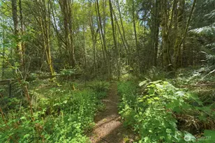 8163 NE Eaglepoint Ln, Kingston, WA 98346 - Photo 39