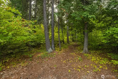 1850 Timber Mountain Loop, Cle Elum, WA 98922 - Photo 19