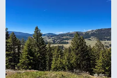 27 Mule Deer Ridge Road, Oroville, WA 98844 - Photo 3