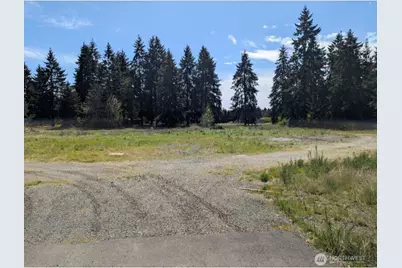 9019 173rd Avenue SW, Rochester, WA 98579 - Photo 1