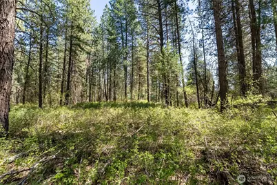 19 Green Road, Winthrop, WA 98862 - Photo 9