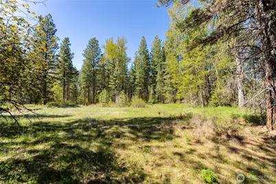 19 Green Road, Winthrop, WA 98862 - Photo 5