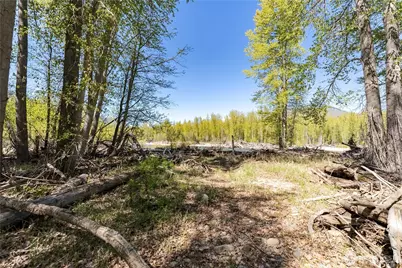 19 Green Road, Winthrop, WA 98862 - Photo 7