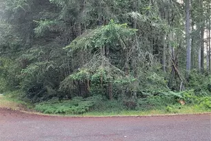 8922 129th Ave Ct, Anderson Island, WA 98303 - Photo 1