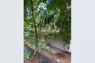 2816 SW Dakota Street, Seattle, WA 98126 - Photo 3