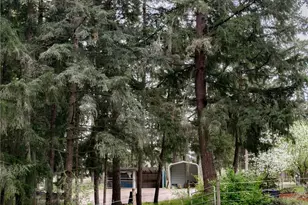5010 Offut Lake Rd SE, Tenino, WA 98589 - Photo 29