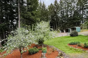5010 Offut Lake Rd SE, Tenino, WA 98589 - Photo 27