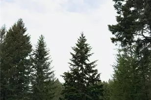 5010 Offut Lake Rd SE, Tenino, WA 98589 - Photo 33