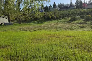 140 E Virgil Dr W, Allyn, WA 98524 - Photo 1