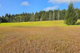 91 E Virgil Dr W, Allyn, WA 98524 - Photo 1
