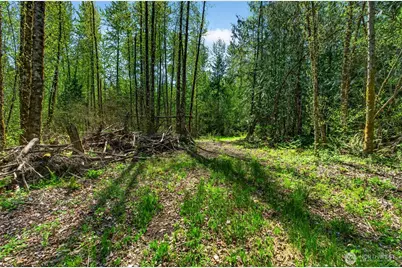 28461 Mountain Hwy E, Graham, WA 98338 - Photo 13