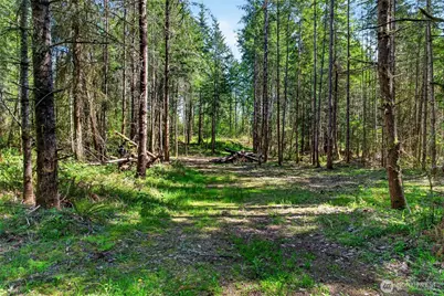 28461 Mountain Hwy E, Graham, WA 98338 - Photo 11