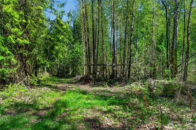 28461 Mountain Hwy E, Graham, WA 98338 - Photo 9