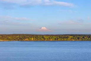 727 E Stretch Island Rd S, Grapeview, WA 98546 - Photo 9