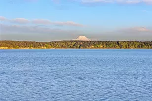 727 E Stretch Island Rd S, Grapeview, WA 98546 - Photo 29