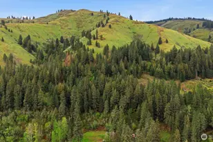 61370 Mill Creek Rd, Milton-Freewater, OR 97862 - Photo 27