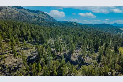 0 Tbd Mineral Hill Road, Conconully, WA 98819 - Photo 5