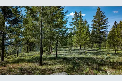 0 Tbd Mineral Hill Road, Conconully, WA 98819 - Photo 29