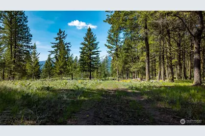 0 Tbd Mineral Hill Road, Conconully, WA 98819 - Photo 27