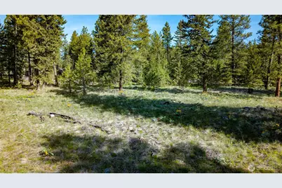 0 Tbd Mineral Hill Road, Conconully, WA 98819 - Photo 13