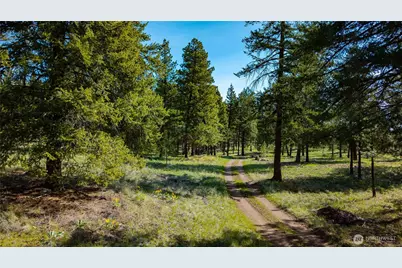 0 Tbd Mineral Hill Road, Conconully, WA 98819 - Photo 15